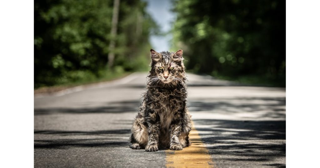 Cementerio de animales (2019)