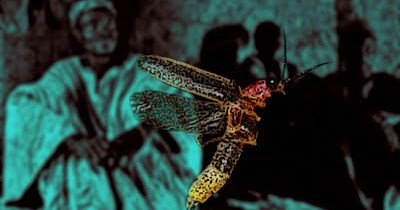 El Adze, el vampiro africano