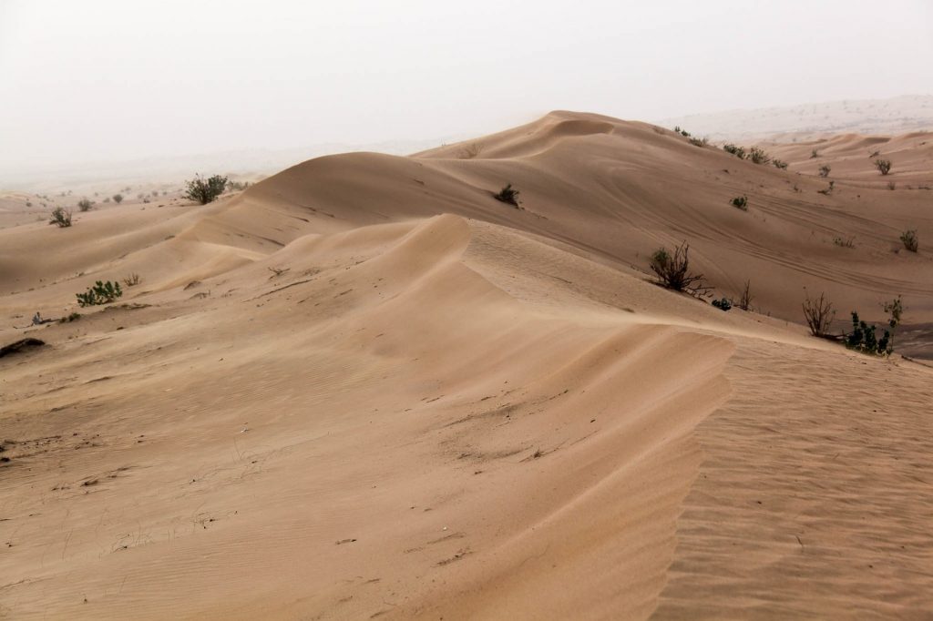 El gul, demonio del desierto